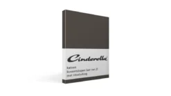 Cinderella katoen kussenslopen (set van 2)