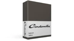 Cinderella katoen laken