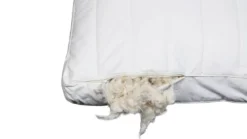 First Label kapok medium hoofdkussen