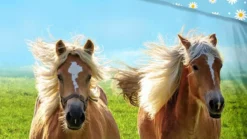 Good Morning Horses dekbedovertrek