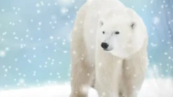 Good Morning Icebear flanel dekbedovertrek