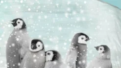 Good Morning Pengu flanel dekbedovertrek