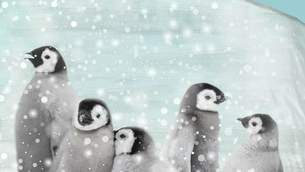 Good Morning Pengu flanel dekbedovertrek