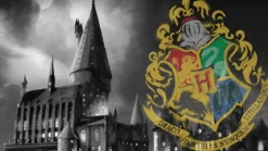 Harry Potter dekbedovertrek