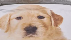iSeng Puppy dekbedovertrek