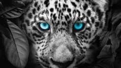 Pure Blue Eyes dekbedovertrek