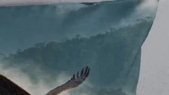 Pure Eagle dekbedovertrek