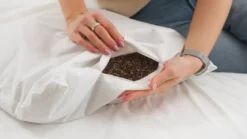 Snoozing Boekweit stevig hoofdkussen