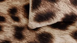 Snoozing Jaguar flanel dekbedovertrek