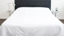 Snoozing Ocala bedsprei