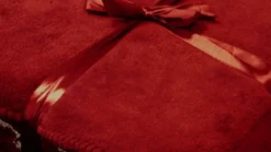 Unique Living Coby fleece plaid
