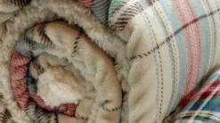 Unique Living Larsson fleece plaid