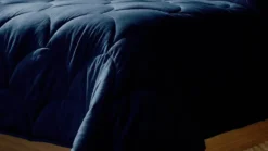 Zydante Cotton Percale wasbaar dekbed